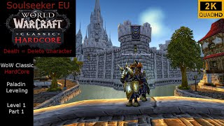 WoW Classic Hardcore  Soulseeker EU Paladin Leveling  Level 1 Part 1  No Commentary 2K [upl. by Aetnahs268]