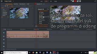 Lightworks tutorial ITA episodio 01 [upl. by Nimesay]