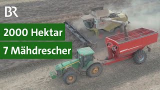 Landwirtschaft in Russland Ernte mit sieben Mähdreschern  Landtechnikvideos [upl. by Rolat]