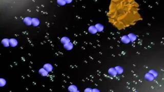 Piranha Etching Procedure on a Silicon Wafer [upl. by Sarid]