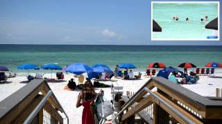 Shoreline Towers Condominiums  Unit 2044  Destin FL  Dale E Peterson Vacations [upl. by Skelly]