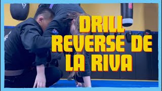 Gordon Ryan Reverse de la riva by Leonardo Almeida [upl. by Nnyletak]