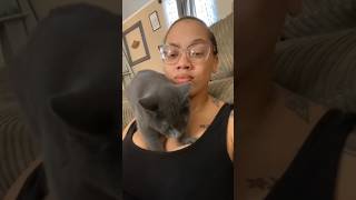 Daily pet videos 1 cat [upl. by Melodie]