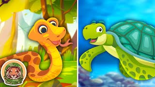 Learn About Reptiles amp Amphibians  Animal Songs For Kids  KLT WILD [upl. by Charmian]