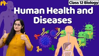 Human Health and Diseases Class 12  Biology NCERT Chapter 7 One Shot  CBSE NEET [upl. by Kiyoshi724]