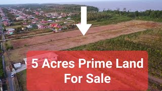 5 Acres of Prime Land for Sale in Corentyne Berbice  Guyana 🇬🇾 [upl. by Fuller940]