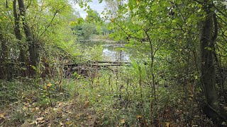 More fallen trees more weed removal  lake clearance continues [upl. by Lorac]