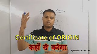 Certificate Of Origin  Import Export Trainer  Pravesh Forwarder [upl. by Nhguavaj]