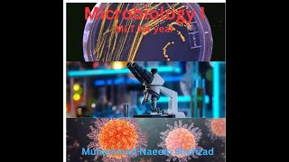 Oxidase test in Microbiology Lab Microbiology i MLT 1st year by Muhammad Naeem Shehzad [upl. by Kcirtap]