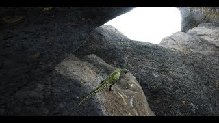 Troodon  Nesting In The Underworld  Hunting Clips  The Isle [upl. by Shaver63]