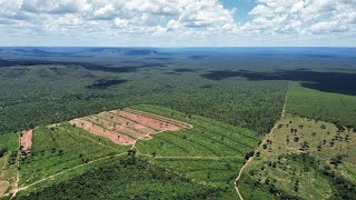 Por motivo de saúde ele resolveu vender 360 hectares em Formosa do Rio Preto Bahia ￼ [upl. by Nosmoht]