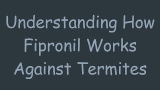 Understanding How Fipronil Works Against Termites [upl. by Eelnodnarb]