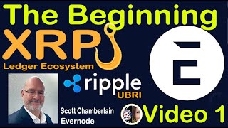 40k XRP Holders Ready to Receive Airdrop from Ripple Funded Research EVERNODE NOW on HOOKS Xahau [upl. by Siblee880]