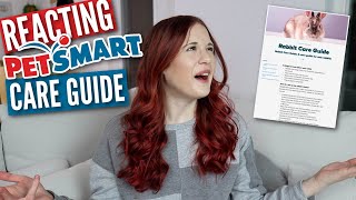 Reacting to Petsmarts Rabbit Care Guide [upl. by Willumsen121]