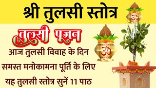 Tulsi Vivah Stotra  तुलसी स्तोत्र  Shri Tulsi Stotra  आज तुलसी विवाह के दिन सुनें यह स्तोत्र [upl. by Hole]