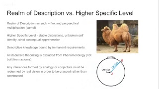 Edmund Husserls Phenomenology Lecture 36 Ideas Preliminary Considerations of Method [upl. by Anih]