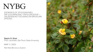 Systematics of Stylosanthes Sw Leguminosae – Papilionoideae – Dalbergieae [upl. by Lydie780]