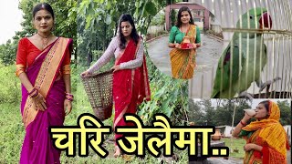 चरी जेलैमा  CHARI JELAIMAcover video  Bishnu Majhi New Teej Song 2078 ALSA DHUNGANA [upl. by Zetnauq]