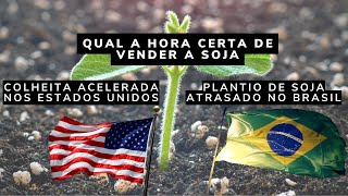 Plantio de Soja Atrasado no Brasil  Colheita Acelerada nos EUA É a Hora Certa de Novas Vendas [upl. by Anivid]