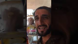 Polyglot Speaking with local 🇵🇰 Hotel owner food streetfood urdu Pakistan [upl. by Naimad]