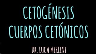 Cetogénesis Cuerpos Cetónicos [upl. by Templia926]