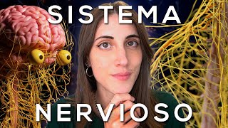 El SISTEMA NERVIOSO explicado FÁCIL [upl. by Anitak]