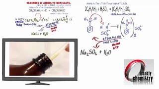 Amines 4 Reactions with acids to form Salts [upl. by Svend969]