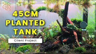 45CM Planted Tank  No CO2  Client Project  Amudh Aquascapes [upl. by Oliy700]