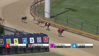 Gawler08112024Race10 [upl. by Gae]