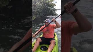 KAYAKING ADVENTURE up the WAILUA RIVER to SECRET FALLS Uluwehi Falls in Kauai Hawaii [upl. by Dleifrag]