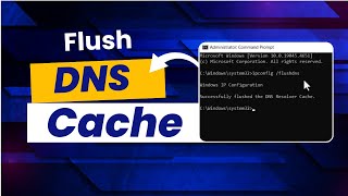 How to Fix Slow Internet Flush DNS and IP Cache in 5 Easy Steps [upl. by Dulcy689]