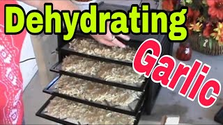 Dehydrating Garlic is easy to do [upl. by Einnaffit924]