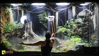 I Unleashed a Swarm of Huntsman Spiders Into My Giant Rainforest Vivarium [upl. by Rorie]