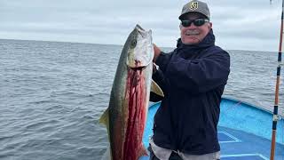 Cedros Island Fishing June 2024 [upl. by Inad]