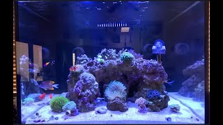 Quick Tank LiveStream Update for 92024 [upl. by Couture]