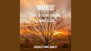 Nimrod From quotThe Enigma Variationsquot For String Quartet [upl. by Eycats]