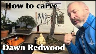 How to Carve a Dawn Redwood Bonsai [upl. by Elik]