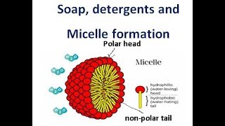 Soaps and detergents class 10 [upl. by Herbie988]