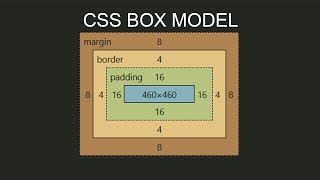 CSS Box Model Explained in Detail Padding  Margin  Box sizing [upl. by Anivek]