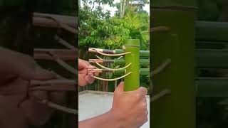 BAMBOO CREATION with 3 arrow bamboo div [upl. by Gilbertina]