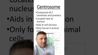 Centrosome vs Centrioles [upl. by Timmi]