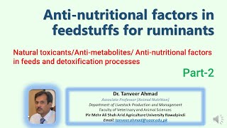 Anti Nutritional Factors in Feedstuffs Part2 Natural toxicants amp detoxification processes [upl. by Yrellih]