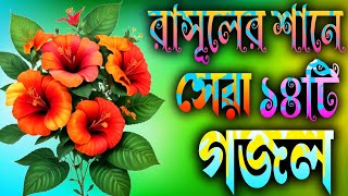 নবীজির শানে সেরা ১৪টি ইসলামিক গজল  Top Islamic Gojal  Nahidghazal Gojal Gojol Ghazal gozol [upl. by Laina]