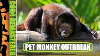 PET MONKEY OUTBREAK FINNTROLL 1984S BEASTS OF THE WILD 35 ANIMAL OVERDOSE COD4 MW REMASTERED [upl. by Aimar]