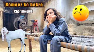 Rameez ke Qurbani ka bakra Gayab  Naeem aw Rameez [upl. by Nodgnal]