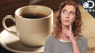 How Coffee is Decaffeinated [upl. by Munshi]