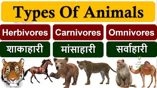 Herbivores Carnivores and Omnivores  Types of Animals Herbivores Carnivores Omnivores  जानवर [upl. by Auhsoj]