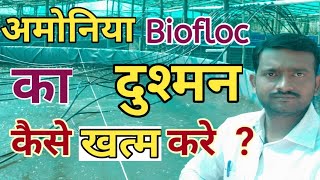 Biofloc l अमोनिया के बारे मे जान ले इन बातो को कभी नहीं होगे अमोनिया से परेशान l Ammonia Problem [upl. by Graehl473]