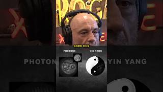 Rogan Photons and the YinYang Connection [upl. by Aitra376]