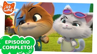 44 Gatos  Latinoamérica  Que gane el mejor gato  EPISODIO COMPLETO  Temporada 1 [upl. by Hna938]